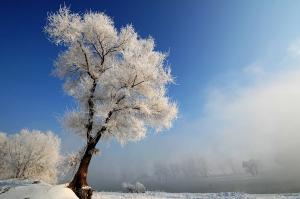 Jilin Songhua Lake Rime